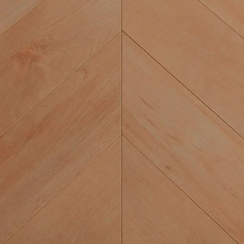 507 Дуб Тепла