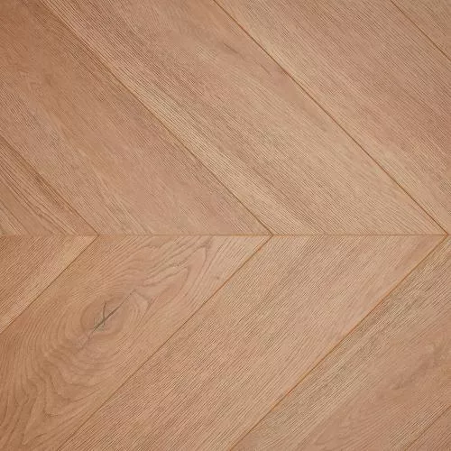 514 Дуб Эльба