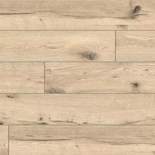 56874 Дуб песочный