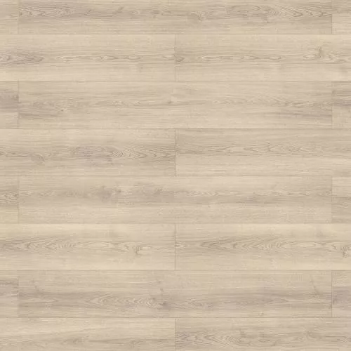 56881 Дуб серый