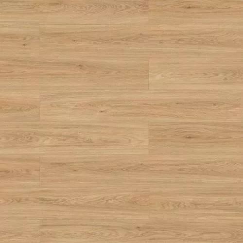 66715 Сокотра