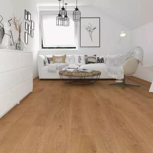 62594 Дуб Пасадена