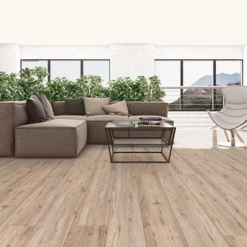 62595 Дуб Андерсон