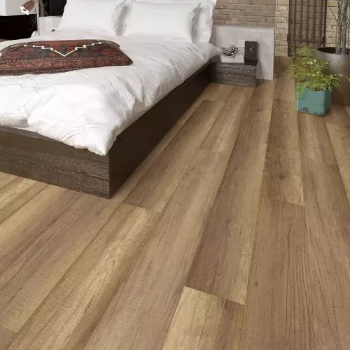 62596 Дуб Донкастер