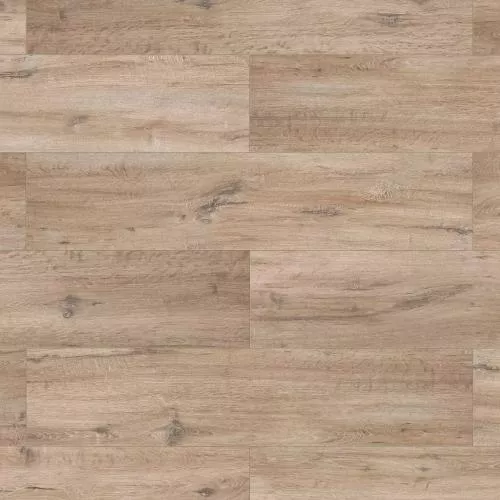 62597 Дуб Виндзор