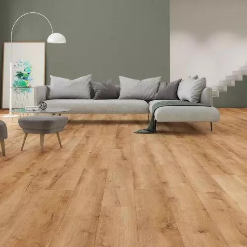 62598 Дуб Баррель