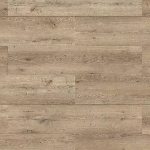 62599 Дуб Альканта