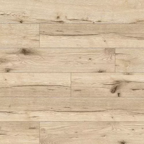 62600 Дуб Кордоба