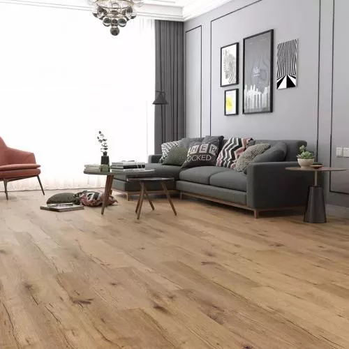 62601 Дуб Брисбен