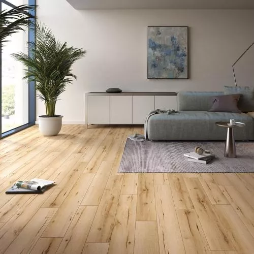 53679 Дуб Касаи