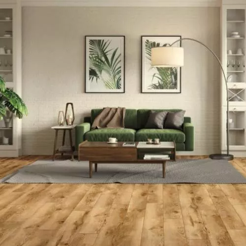 53685 Дуб Санга