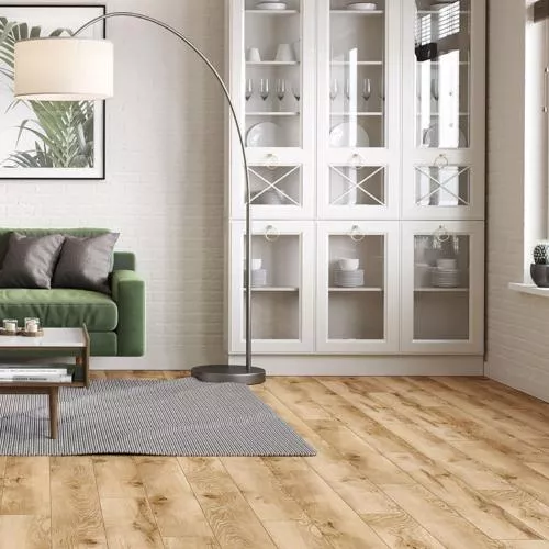 53689 Дуб Саби