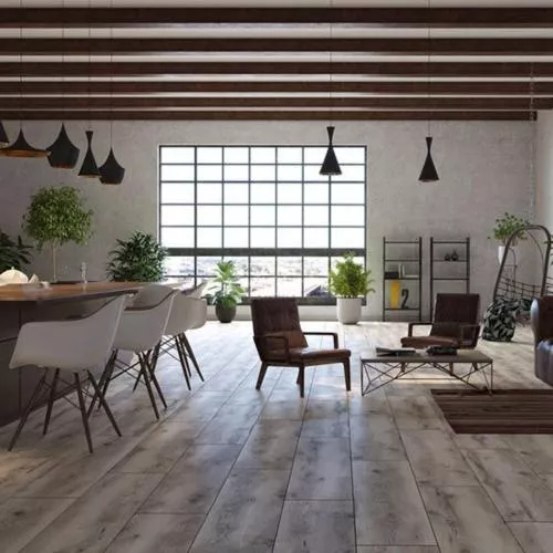 54848 Дуб Индианаполис