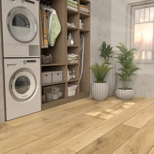 54805 Дуб Накуру