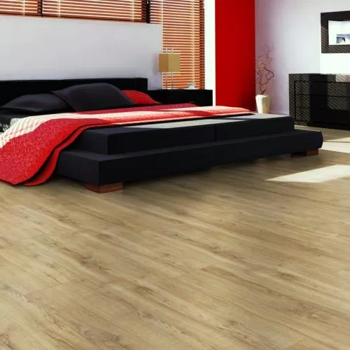 54806 Дуб Коннемара