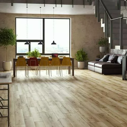 54811 Дуб Денали