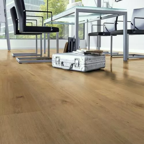 54805 Дуб Накуру