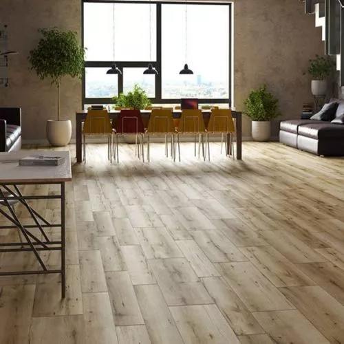 54809 Дуб Калимнос