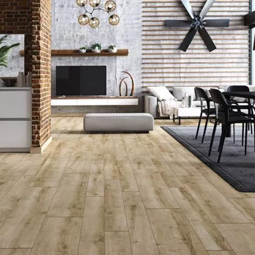 54811 Дуб Денали