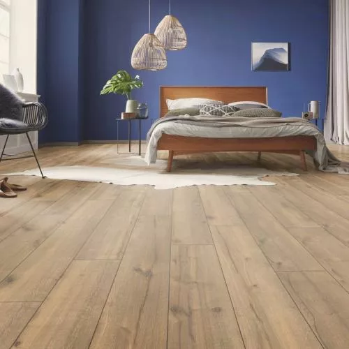 54814 Дуб Сипадан