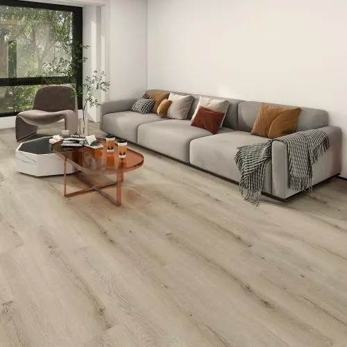 54833 Дуб Галапагос