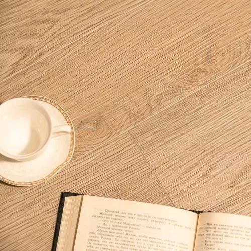 55088 Дуб Калахари