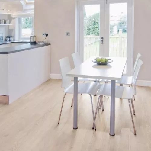 55089 Дуб Пальмар