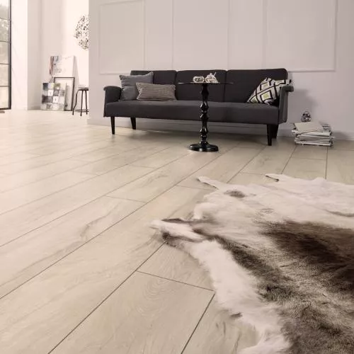 55090 Дуб Сонора