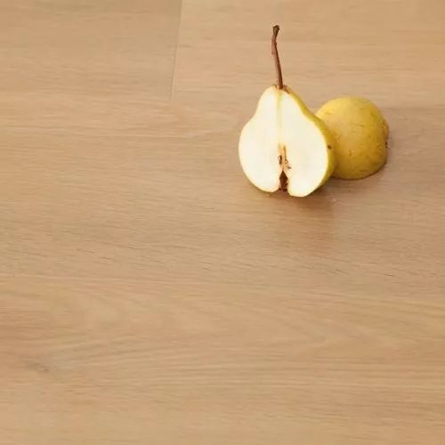 55092 Дуб Атакама