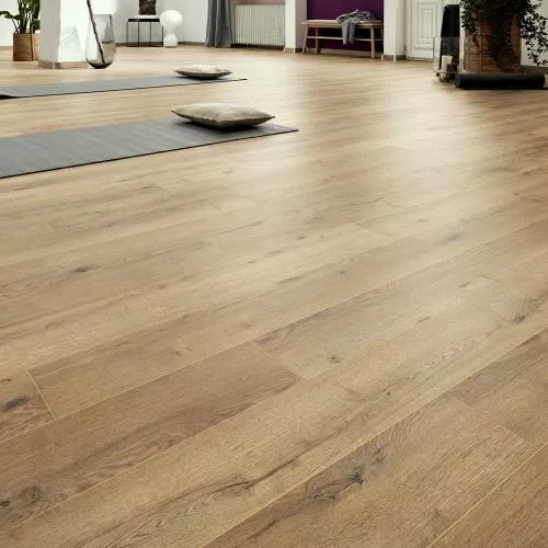 54806 Дуб Коннемара