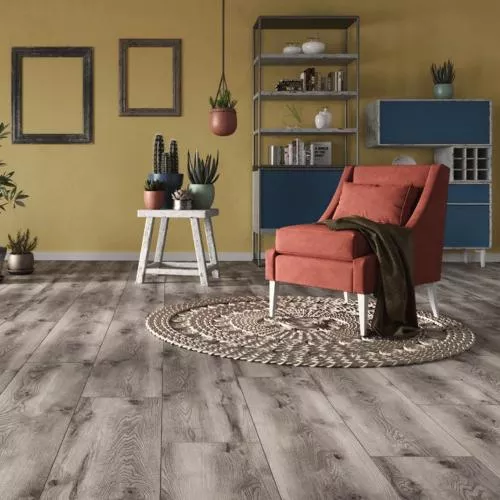 55666 Дуб Доминго