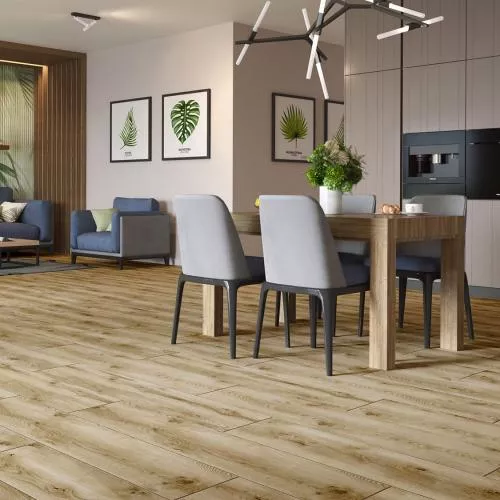 56005 Дуб Терамо