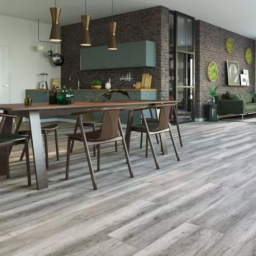 56007 Дуб Седари