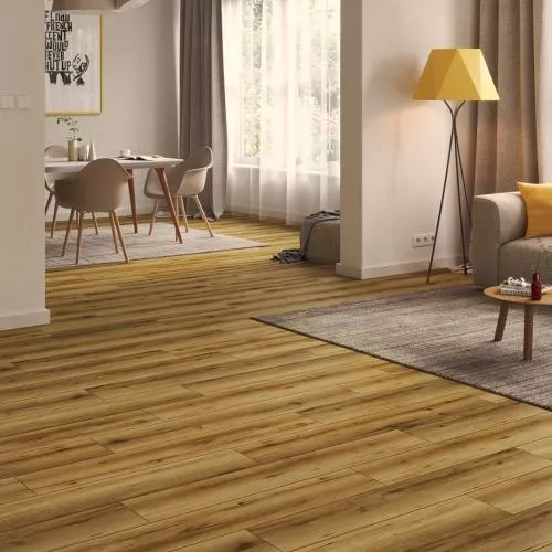 56011 Дуб Розано