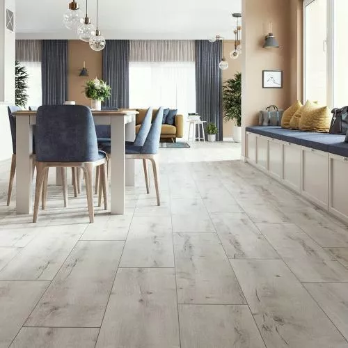 56700 Дуб Ривелло