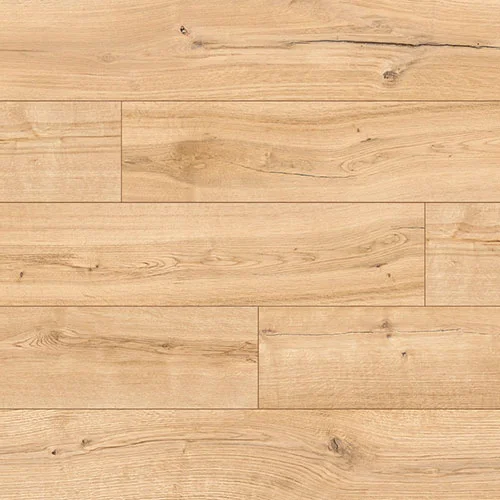 54041 Дуб Кабрилло