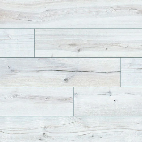 54045 Дуб Шерман