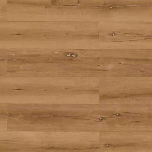 62941 Дуб Калетта белый