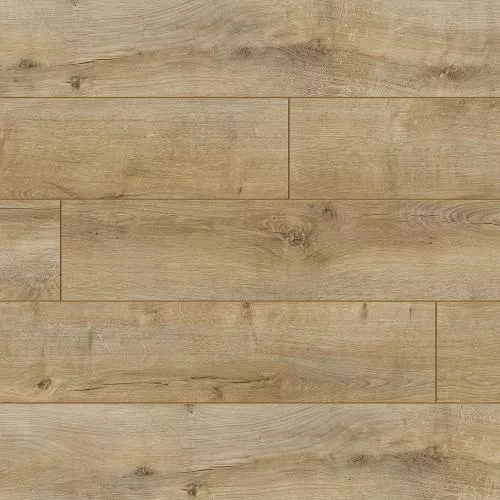 54418 Дуб Аполло