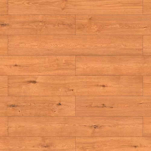 56684 Дуб Эванс