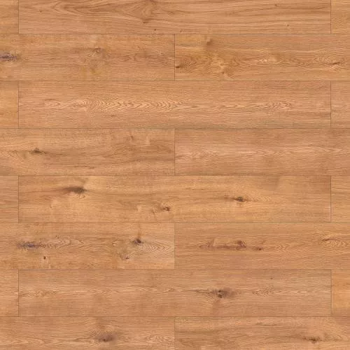 56687 Дуб Ливорно