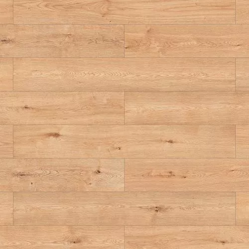 56689 Дуб Милано