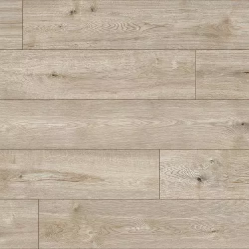 56691 Дуб Рочестер