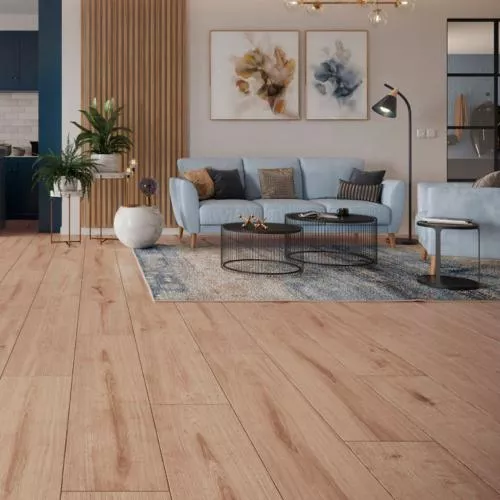 55288 Дуб Барлетта селек