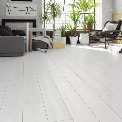 55290 Дуб Римини селект