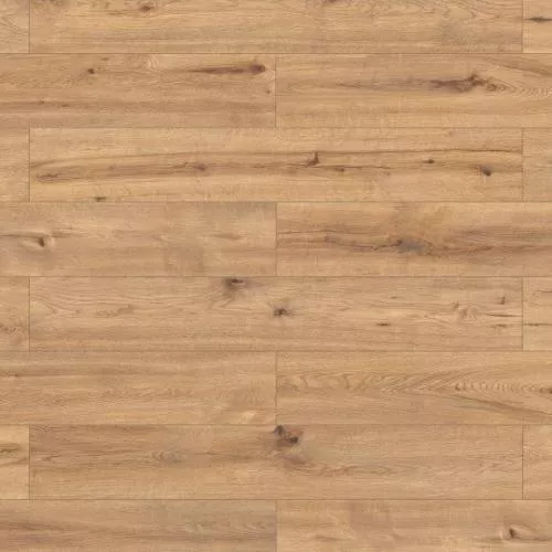 62183 Дуб Богота