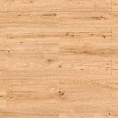 62185 Дуб Картахена