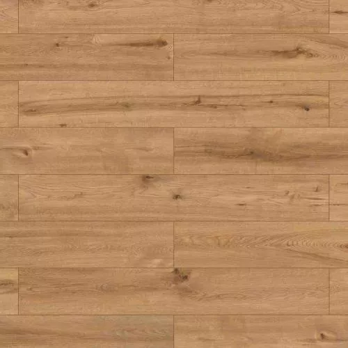 62186 Дуб Прадера