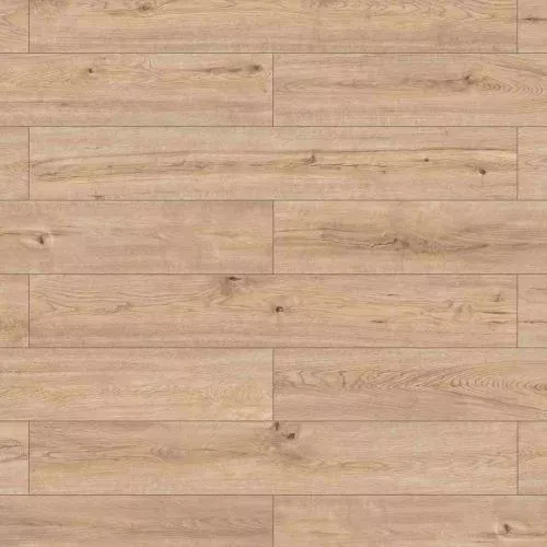 62187 Дуб Серрито