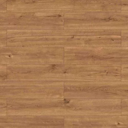 62188 Дуб Кали